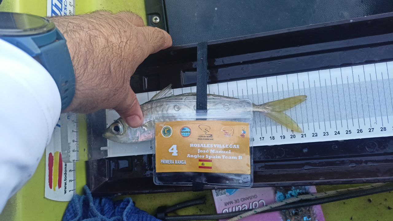 Black Bass (Largemouth bass)