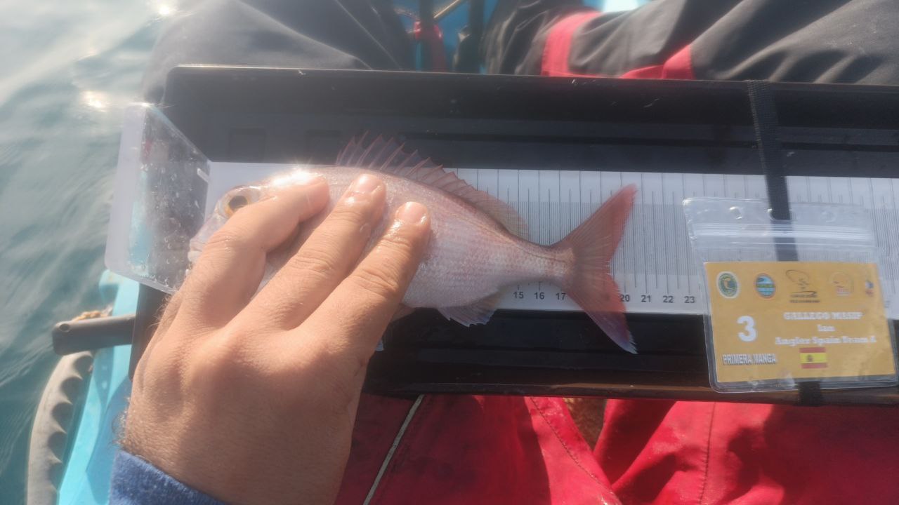 Black Bass (Largemouth bass)