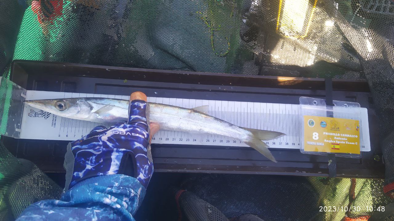 Black Bass (Largemouth bass)