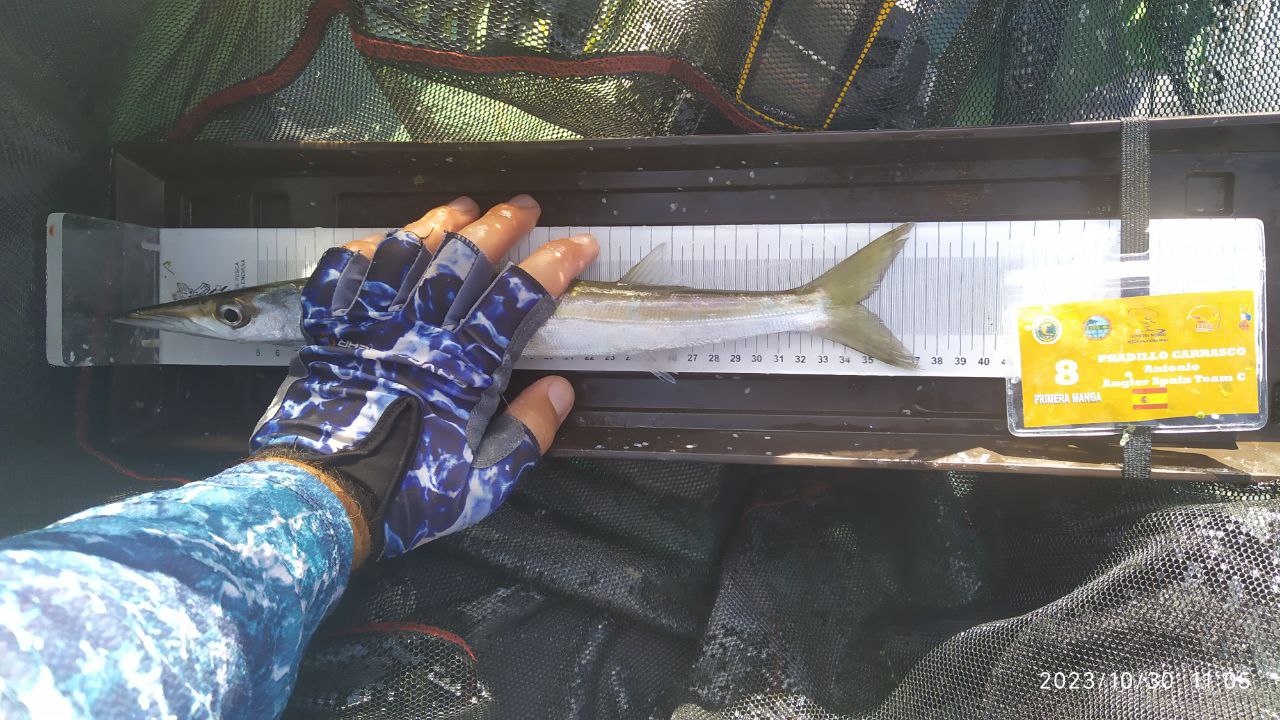 Black Bass (Largemouth bass)