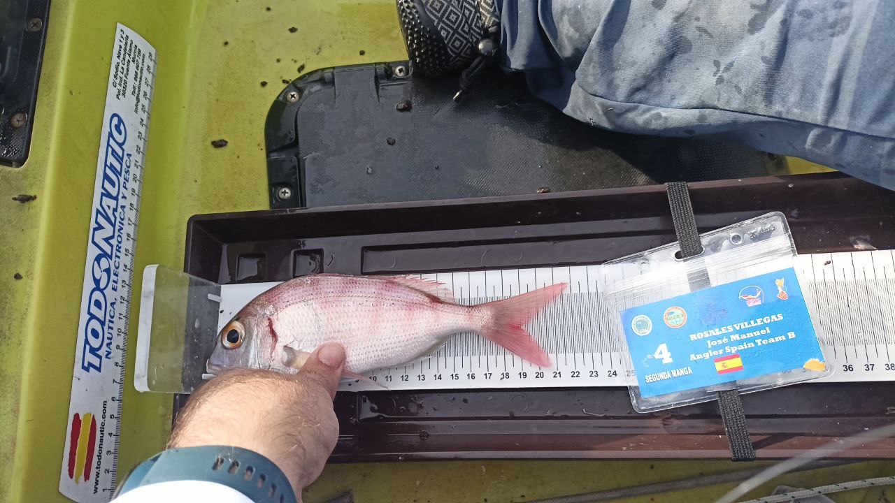 Black Bass (Largemouth bass)