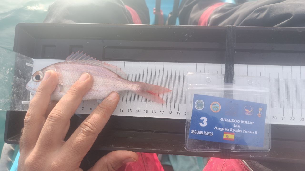 Black Bass (Largemouth bass)