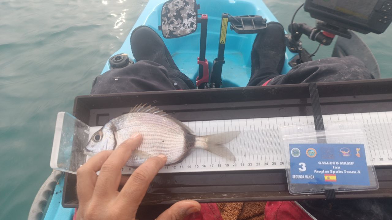 Black Bass (Largemouth bass)