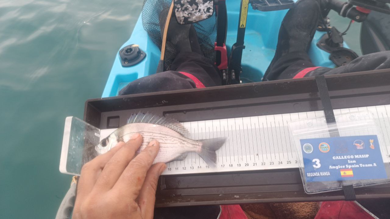 Black Bass (Largemouth bass)