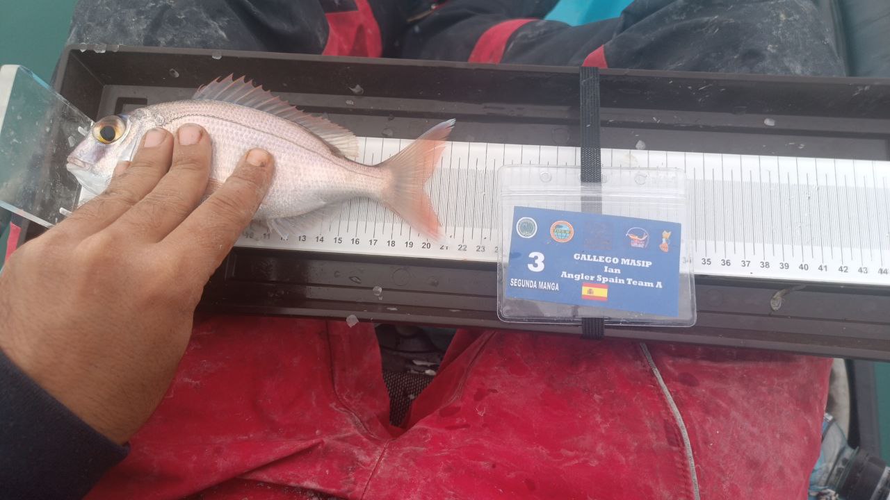 Black Bass (Largemouth bass)