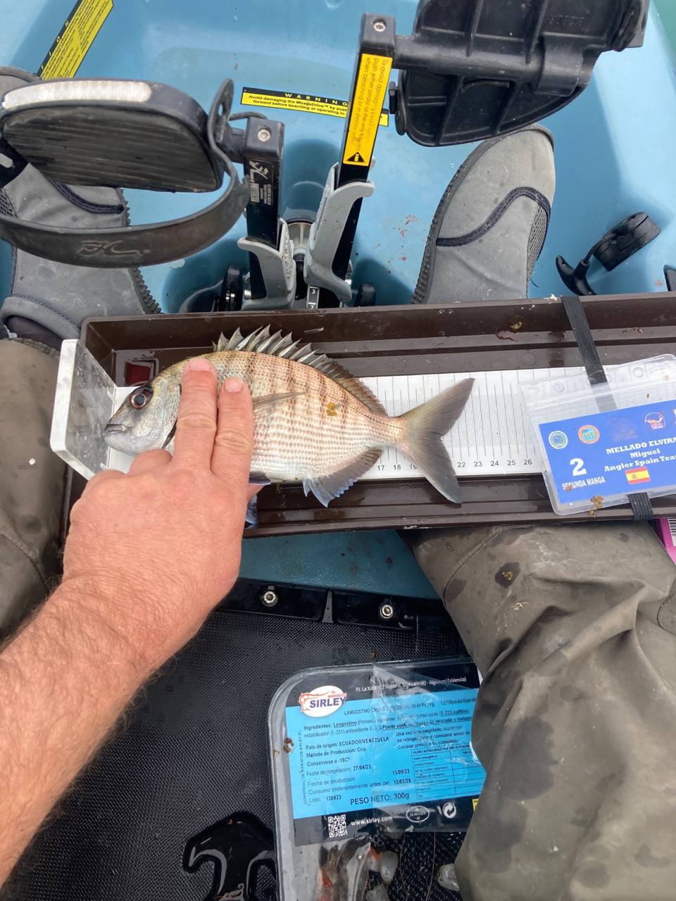 Black Bass (Largemouth bass)