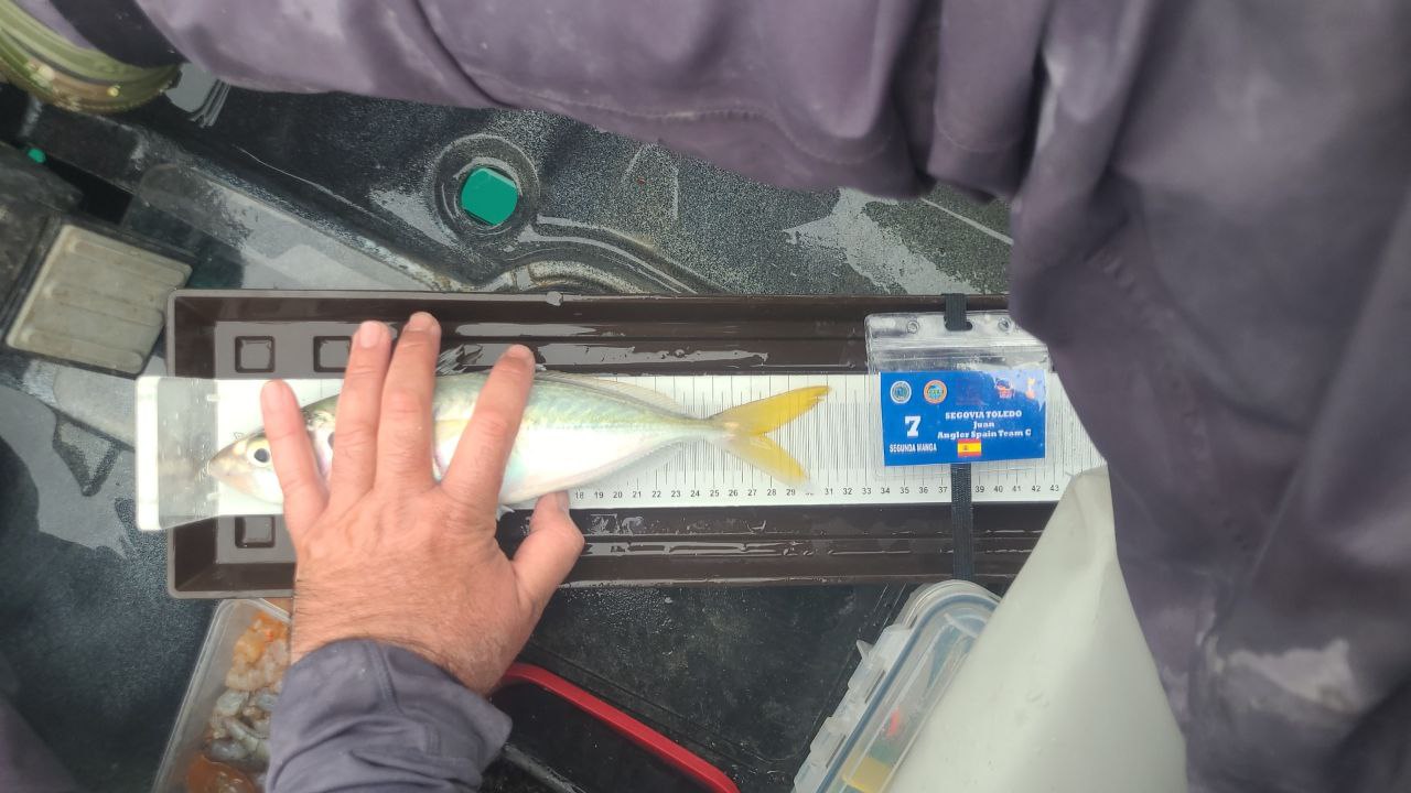 Black Bass (Largemouth bass)