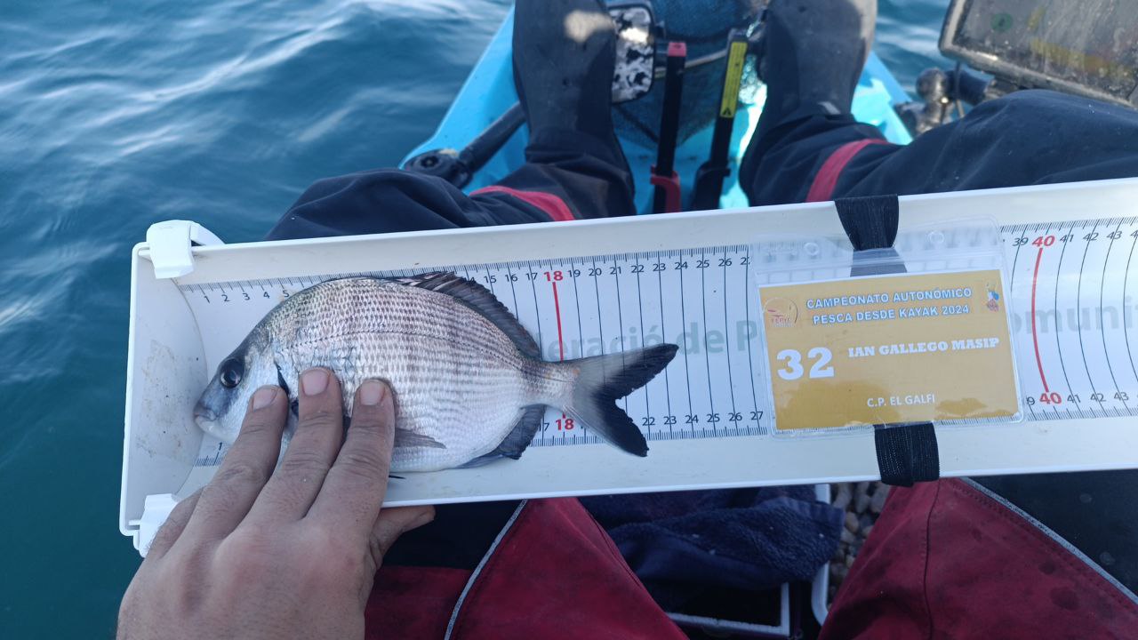 Black Bass (Largemouth bass)
