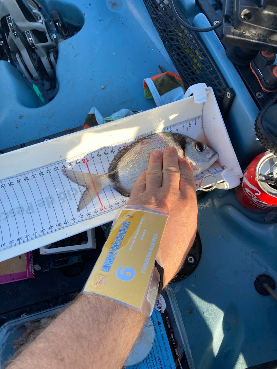 Black Bass (Largemouth bass)