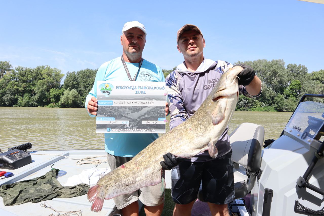 Catfish