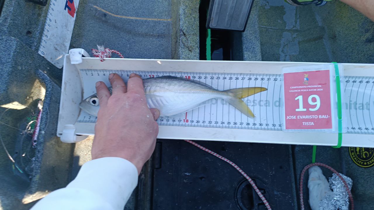 Outros