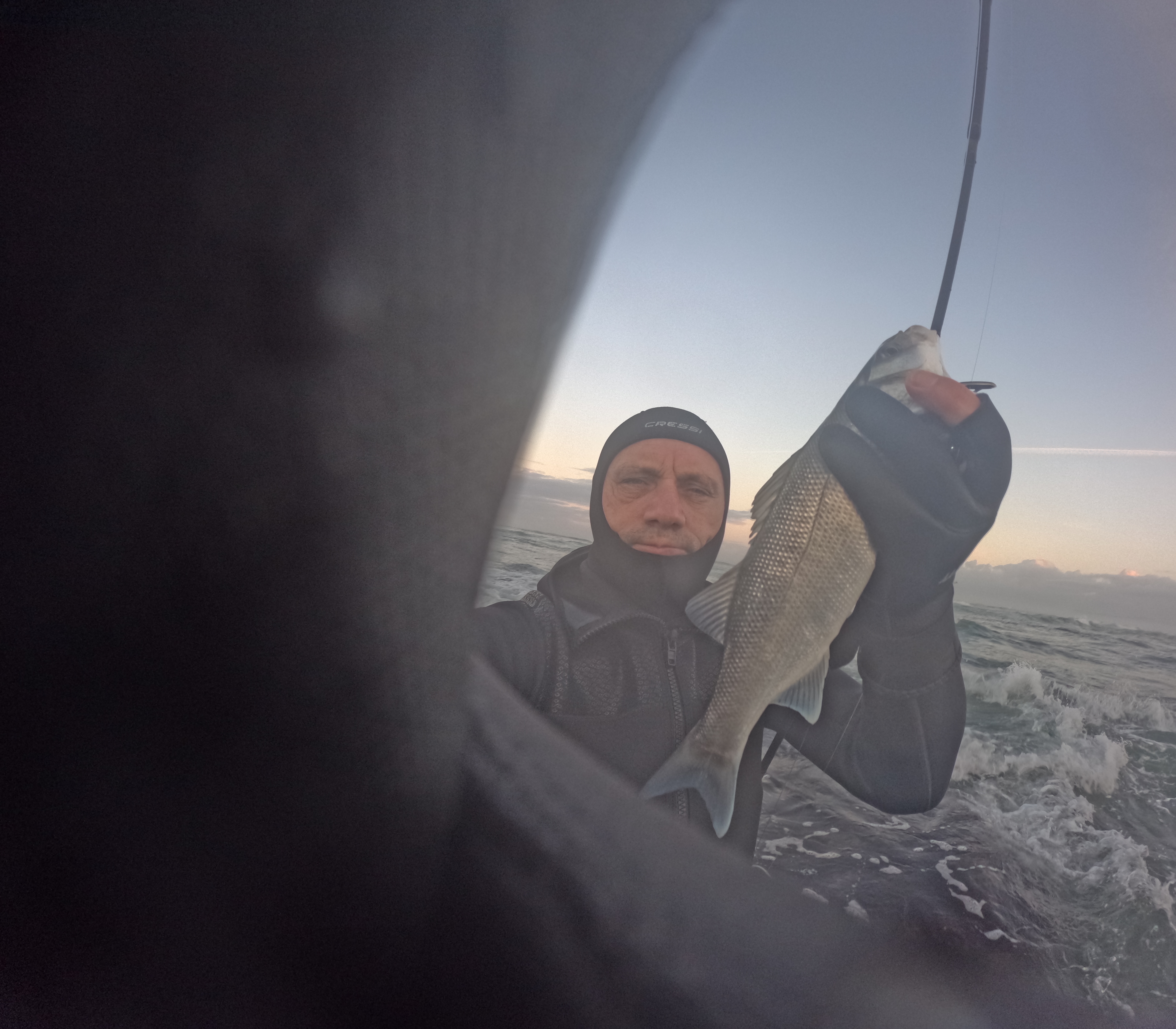 Robalo